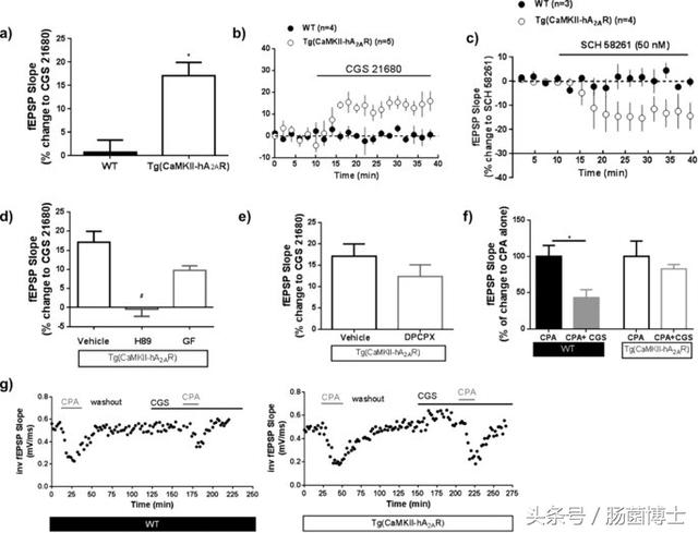 咖啡原来有这么多好处!防癌,护心,强记忆~