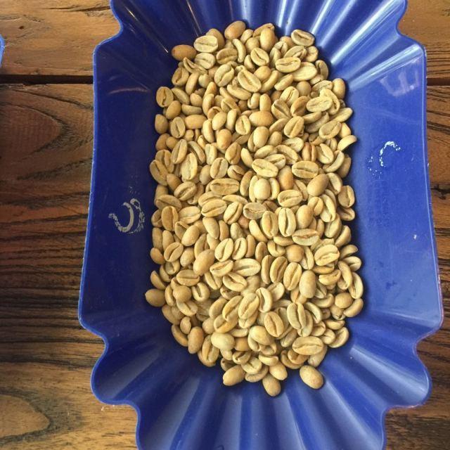 「测评」瑰夏VS蓝山风味口感对比｜咖啡工房研习课室