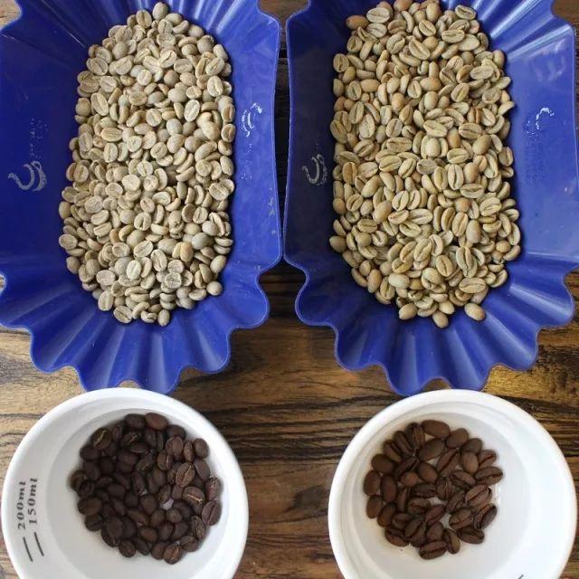 「测评」瑰夏VS蓝山风味口感对比｜咖啡工房研习课室