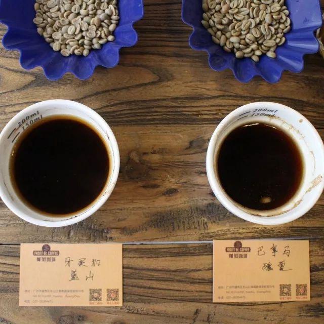 「测评」瑰夏VS蓝山风味口感对比｜咖啡工房研习课室