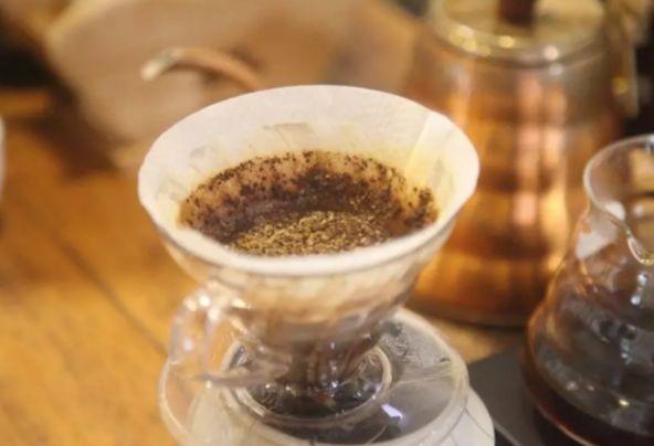 哥伦比亚瑰夏咖啡评测 | 「希望庄园瑰夏」和「圣佩德罗庄园瑰夏」的区别