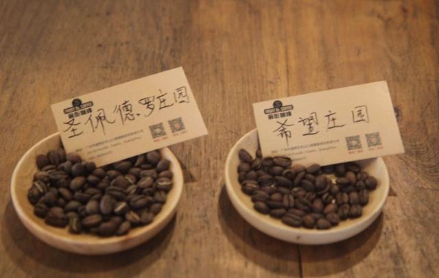 哥伦比亚瑰夏咖啡评测 | 「希望庄园瑰夏」和「圣佩德罗庄园瑰夏」的区别