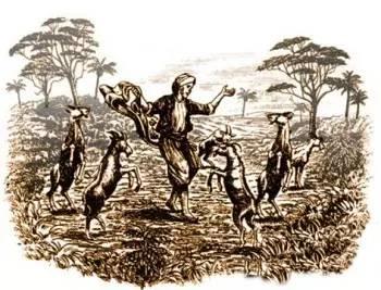 冒着睡不着的风险,我们帮你测评了最经典的9种意式咖啡