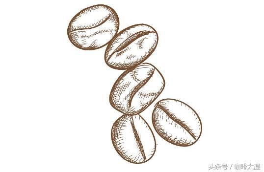 咖啡科普知识 | 如何制作一杯完美的手冲咖啡