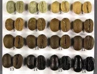 手冲咖啡与意式咖啡的差异!意式咖啡豆也可以手冲吗?