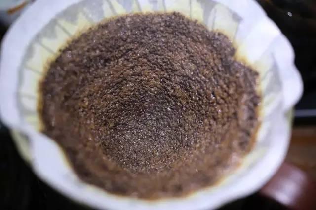 手冲咖啡入门指南|纯干货