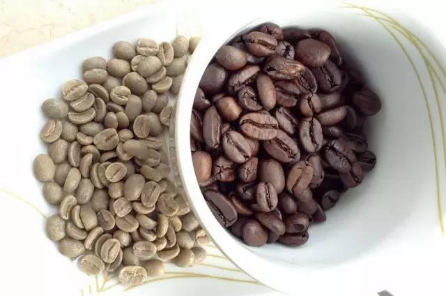 手冲咖啡入门指南|纯干货