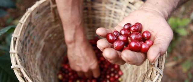 手冲咖啡的精进之道——如何冲一杯会说话的手冲咖啡？