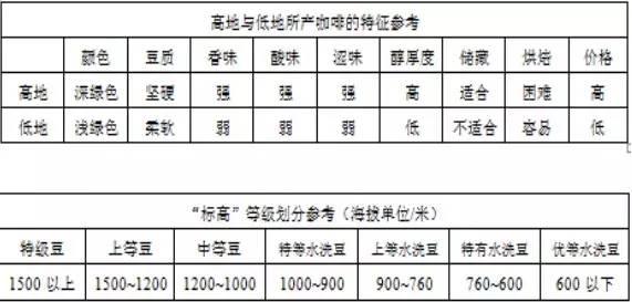 万字雄文说透咖啡:虽然经常捧着它,但你真的了解多少呢?