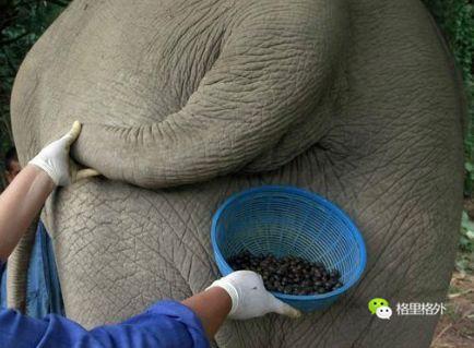 关于咖啡的20个小知识，不知道你就奥特了