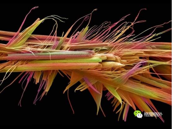 关于咖啡的20个小知识，不知道你就奥特了