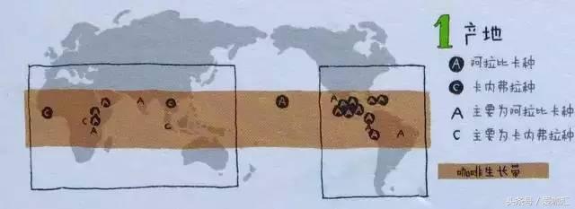 一文说尽咖啡的那些小秘密