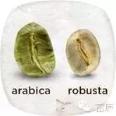 速溶咖啡催人老,一杯下肚丑三年