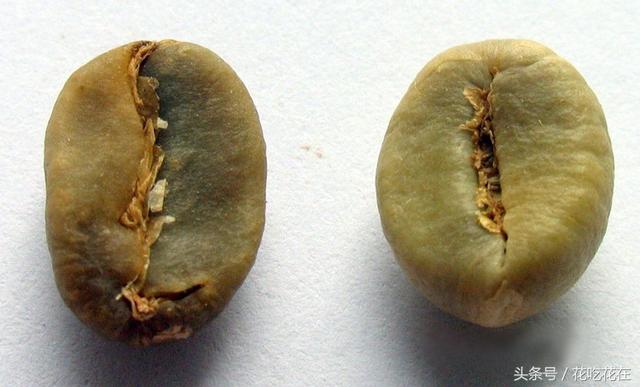 为什么说速溶咖啡不能称之为好咖啡?看完这篇文章你还是会坚持喝速溶咖啡吗?