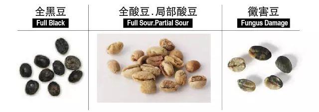 瑕疵豆类型有哪些？挑选咖啡豆十大要素
