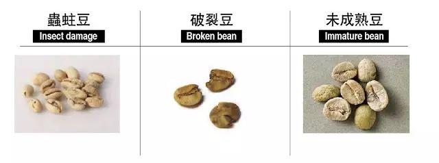 瑕疵豆类型有哪些？挑选咖啡豆十大要素