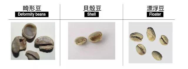 瑕疵豆类型有哪些？挑选咖啡豆十大要素