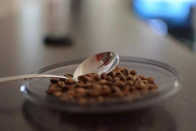 【会呼吸的】咖啡豆：养豆并没有你想象的那么简单