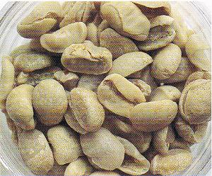 如何手工挑选咖啡豆及咖啡瑕疵豆