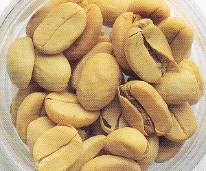 如何手工挑选咖啡豆及咖啡瑕疵豆