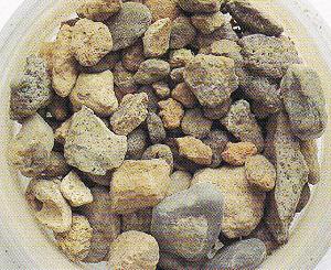 如何手工挑选咖啡豆及咖啡瑕疵豆