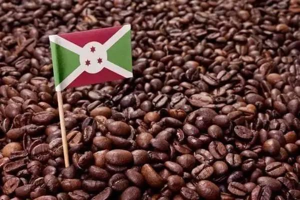 咖啡豆知识:这些咖啡豆都有一股马铃薯的味道