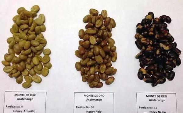 “蜜”处理咖啡豆都有哪几种?