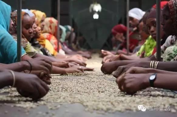 咖啡常识目前世界最热门的10种美洲咖啡豆风味介绍