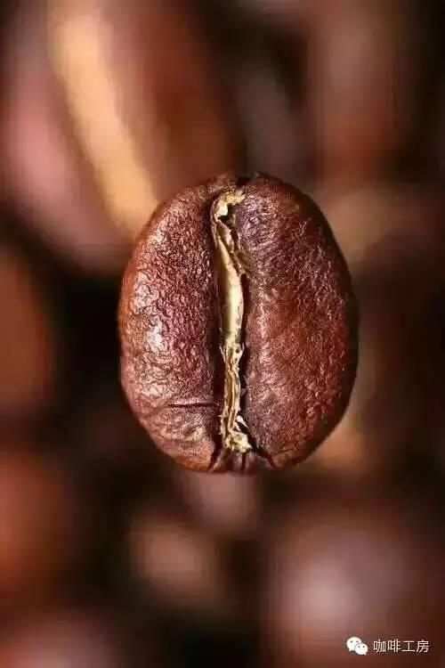 咖啡常识咖啡豆的成份解析，不同成份产生不同口感