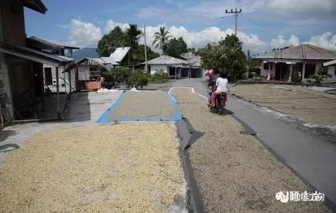 「咖啡百科」教您区别出咖啡豆的好与坏