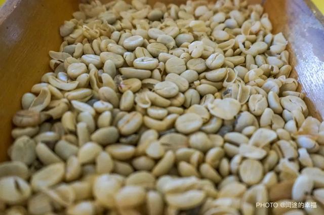 了解哥斯达黎加咖啡，从咖啡豆的种类开始