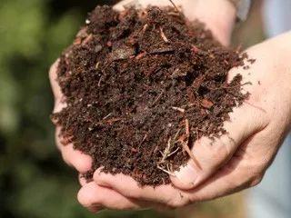 咖啡瑕疵豆 | 如何快速挑选出咖啡豆中的瑕疵豆?