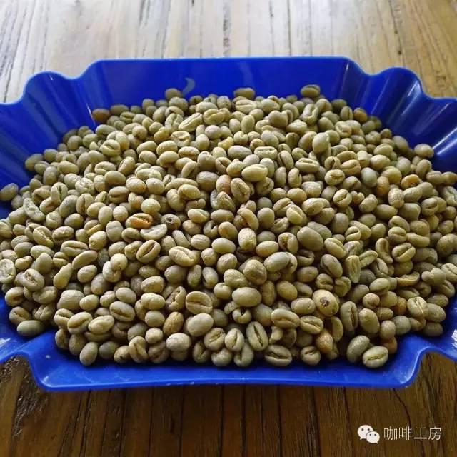 咖啡豆推荐 | 中南美洲咖啡产区咖啡豆怎么选?