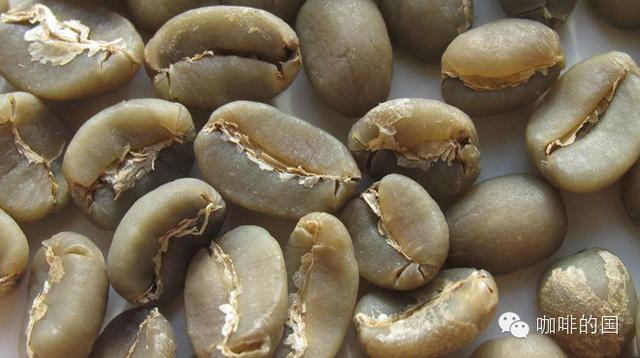 咖啡小白课堂丨咖啡豆你知多少？