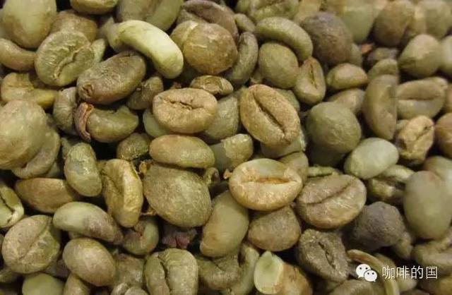 咖啡小白课堂丨咖啡豆你知多少？
