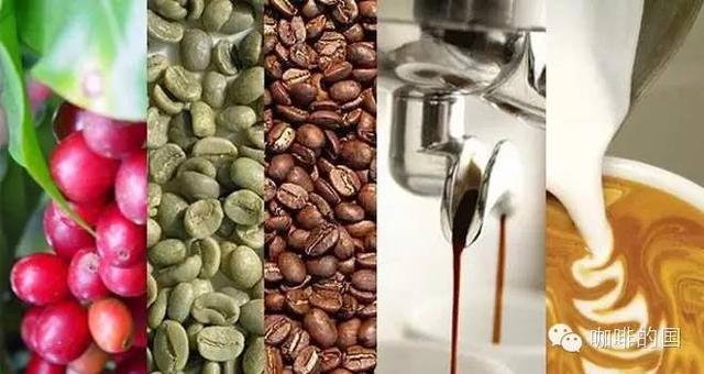 咖啡小白课堂丨咖啡豆你知多少？