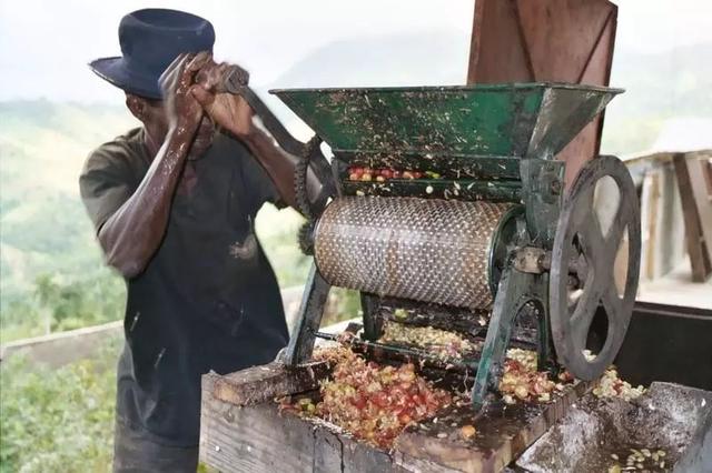 不懂得咖啡豆的处理方法 就不要随便说你懂咖啡