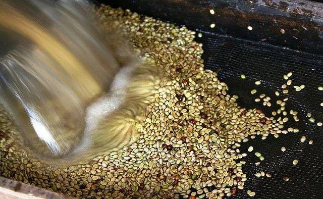不懂得咖啡豆的处理方法 就不要随便说你懂咖啡