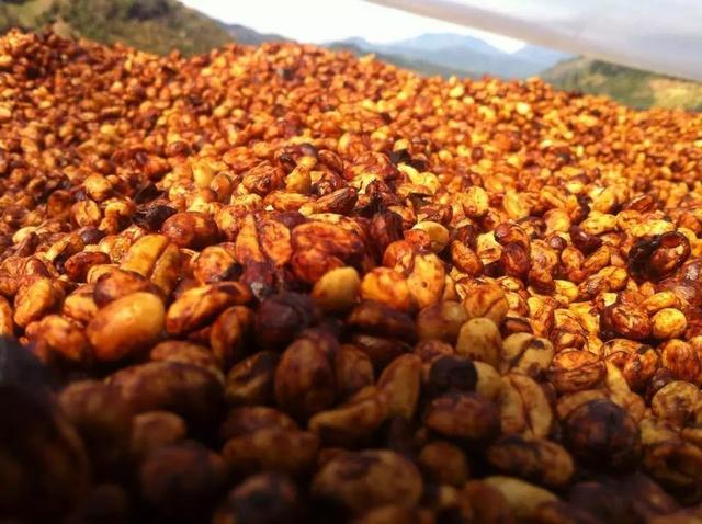 不懂得咖啡豆的处理方法 就不要随便说你懂咖啡