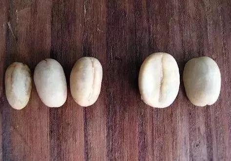 新手入门必备的咖啡豆小常识