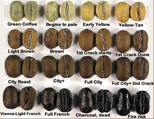 「咖啡豆基本知识」新手快速入门,小白进阶必读!