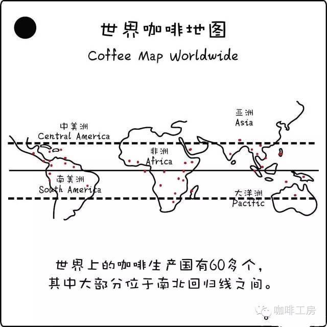 「咖啡豆基本知识」新手快速入门,小白进阶必读!