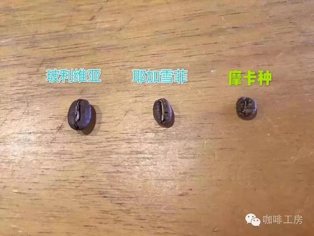 摩卡｜摩卡豆、摩卡壶、摩卡咖啡的区别