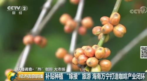 千亿体量的市场沸腾了 咖啡师行业月入数万