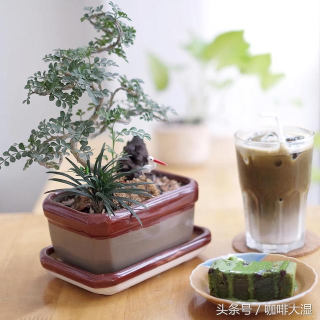 咖啡行业|开一家咖啡馆你需要思考的八个问题