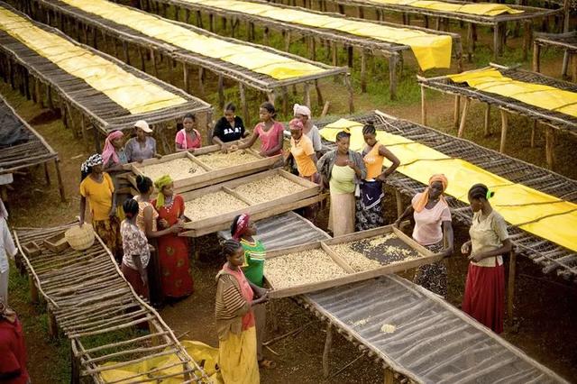 咖啡豆开封后能放多久?咖啡豆选购注意事项