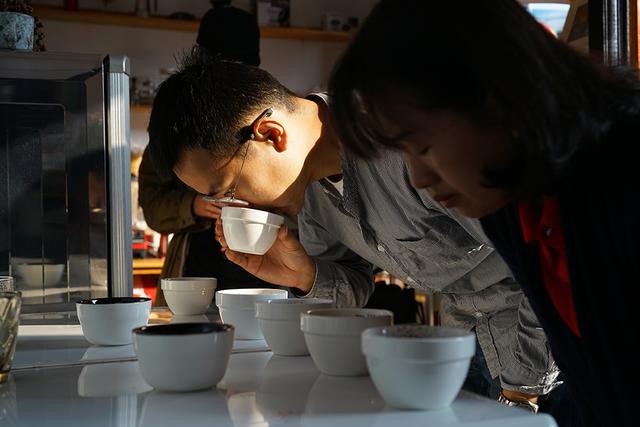 一颗云南咖啡豆的自白