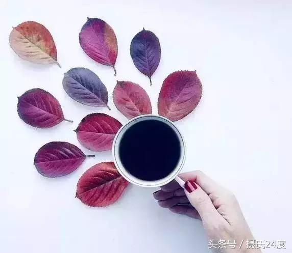 奇遇咖啡|“好咖啡”才不会让你彻夜难眠!