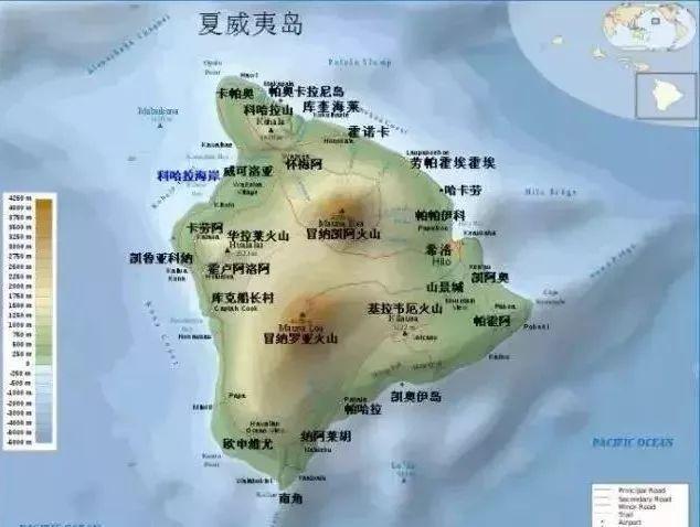 最好的咖啡是什么?