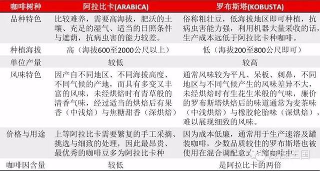 纠正一些你的咖啡观丨什么才是好咖啡 ?